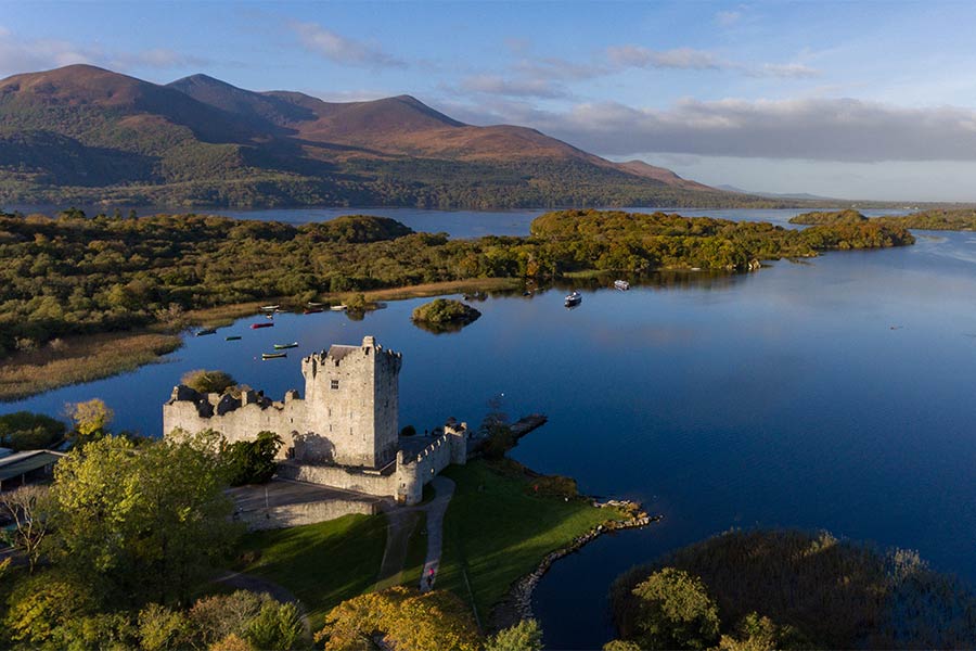 Why Killarney Is a Destination for Innovative Businesses